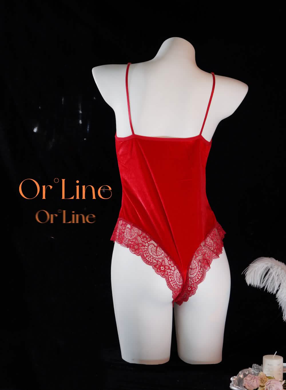 Elegant Lace Trim Sexy Passionate Bodysuit