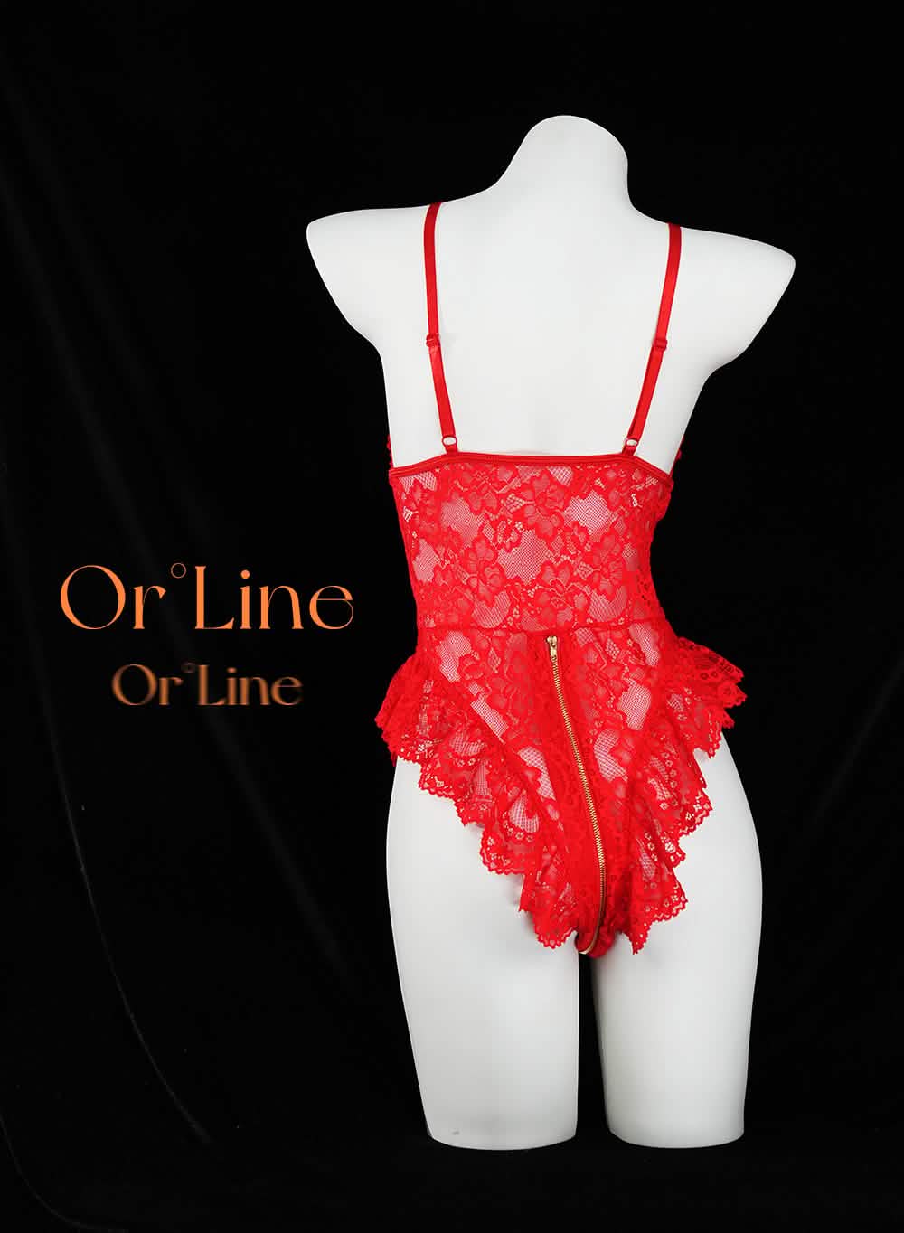 Lace Bodysuit With Zipper Crotch