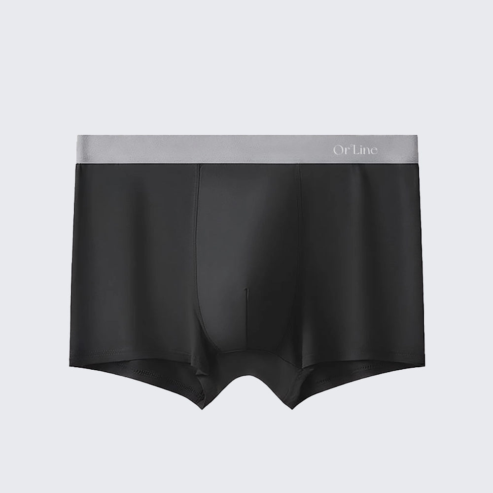 Plus Size Men's Modal Mid Rise Seamless Breathable Boxer Briefs