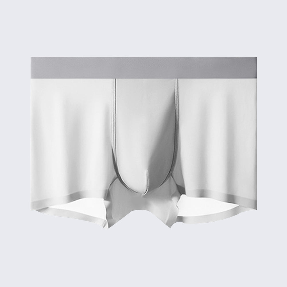 Men's Ice Silk Anti-Bacterial Crotch 120S Ultra-Thin Boxer Briefs