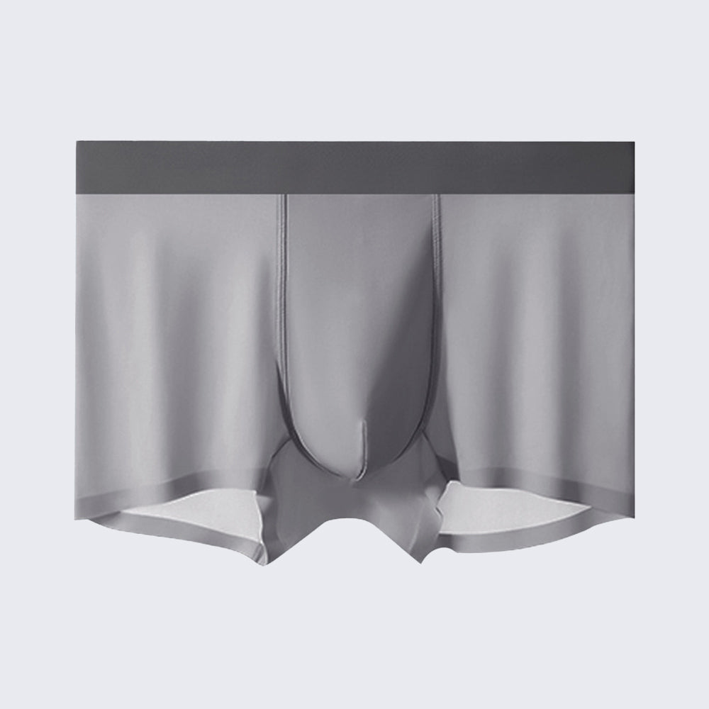 Men's Ice Silk Anti-Bacterial Crotch 120S Ultra-Thin Boxer Briefs