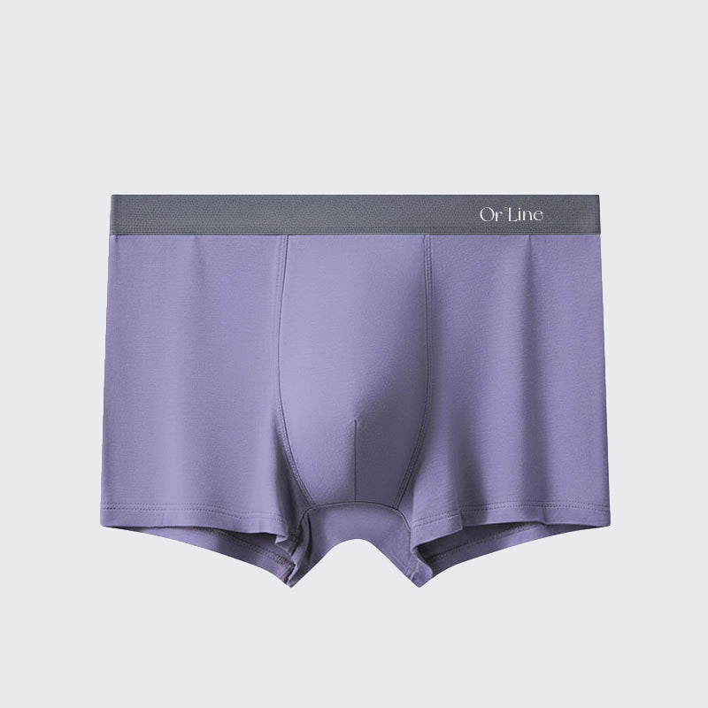 Plus Size Men's Modal Mid Rise Seamless Breathable Boxer Briefs