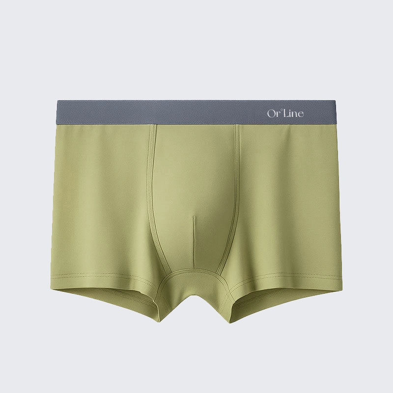 Plus Size Men's Modal Mid Rise Seamless Breathable Boxer Briefs