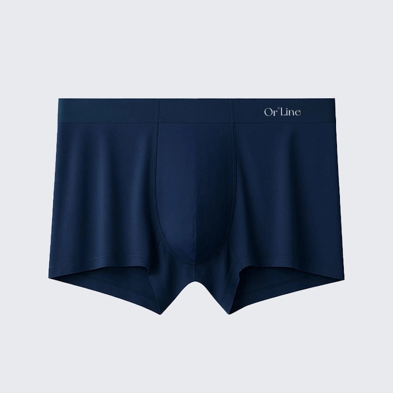Men's Modal Underwear Mid Rise Seamless Breathable Boxer Briefs