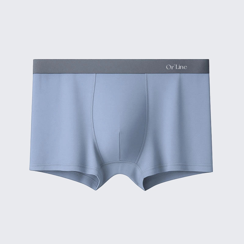Plus Size Men's Modal Mid Rise Seamless Breathable Boxer Briefs