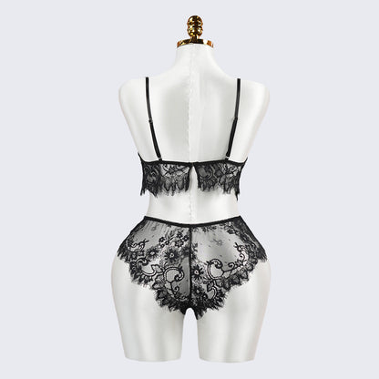 Sexy Black Lace Embroidery Lingerie See-Through Sexy Bra Panties Set