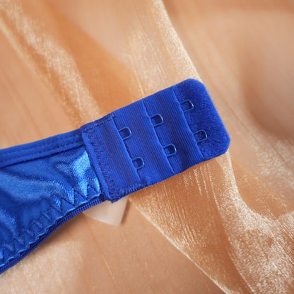 Blue Floral Lace Embroidered See-through Bra