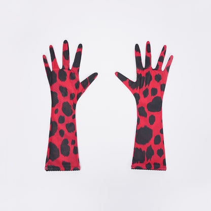 Leopard Print Embroidered Bra Panty Set