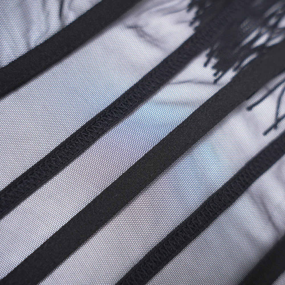 Black Sheer Fringe Corset Panty Set