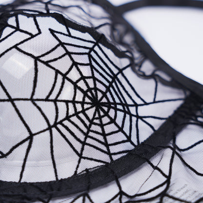 Plus Size Spider Web Sheer Push Up Full Bust Bra Panty Set