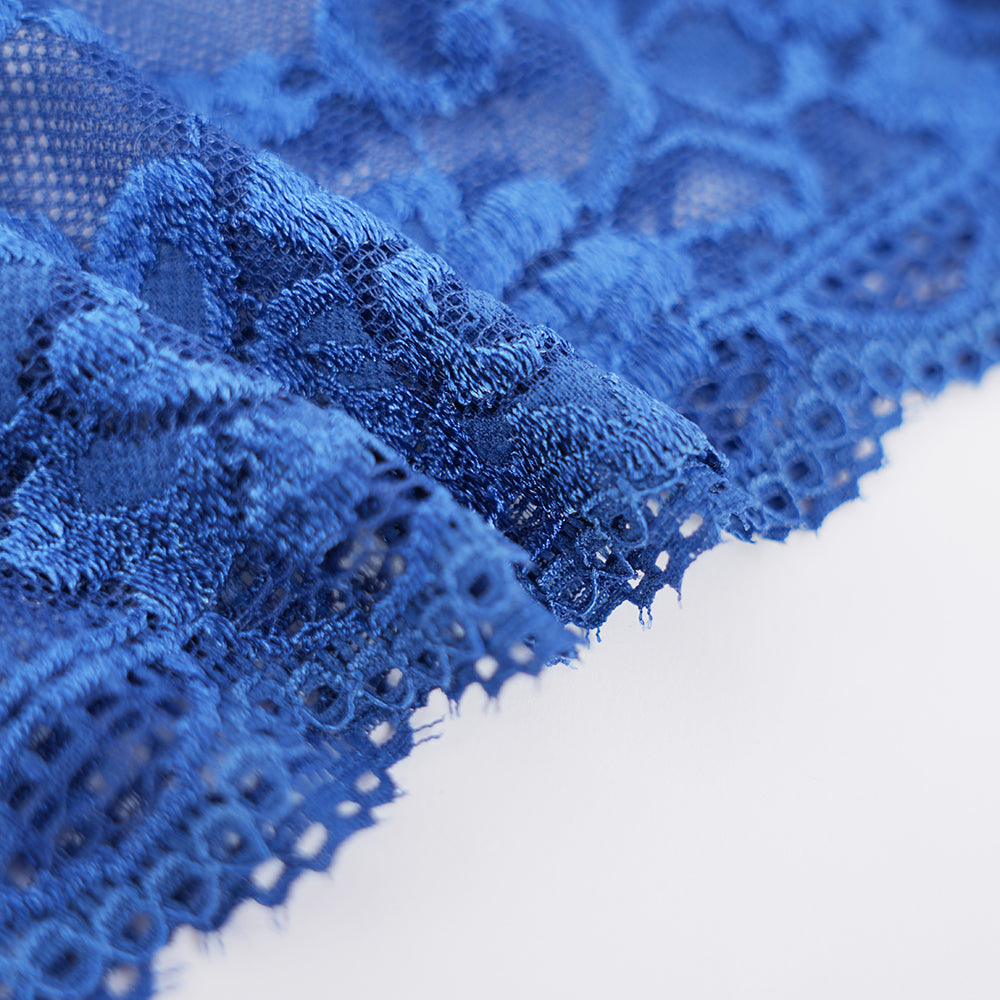 Plus Size Sheer Lace Low Rise Panty Underwear