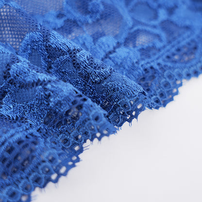 Plus Size Sheer Lace Low Rise Panty Underwear