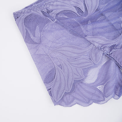Plus Size Women's Lace See-through Panty