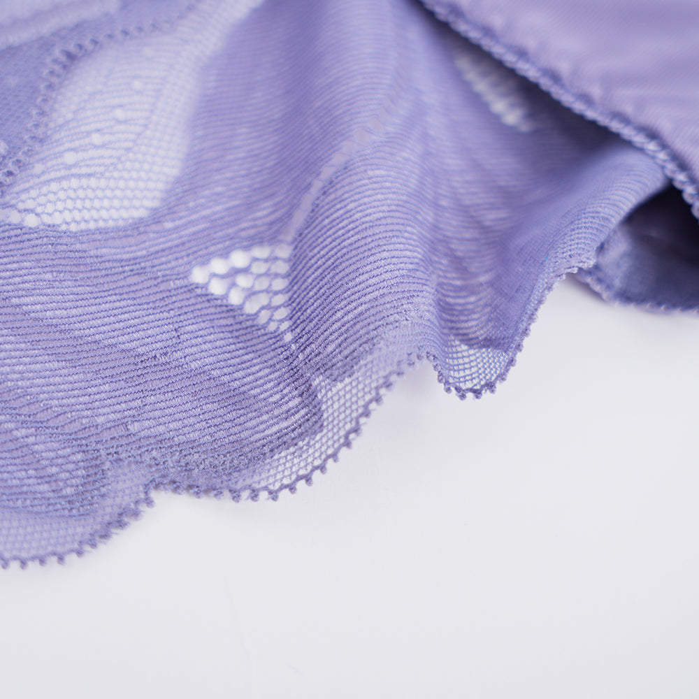 Plus Size Women's Lace See-through Panty