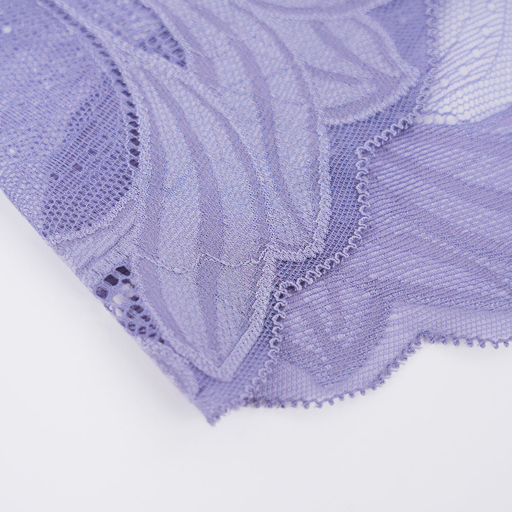Plus Size Women's Lace See-through Panty