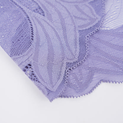 Plus Size Women's Lace See-through Panty