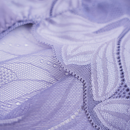 Plus Size Women's Lace See-through Panty
