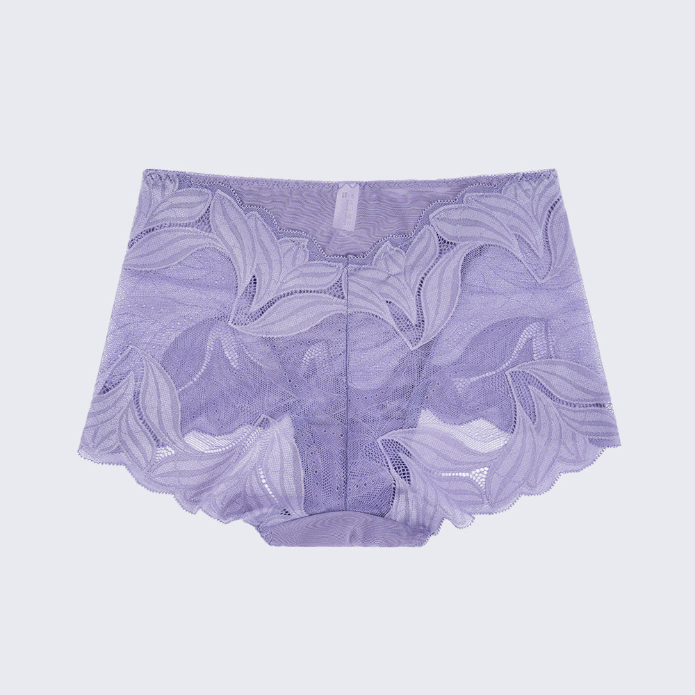 Plus Size Women's Lace See-through Panty