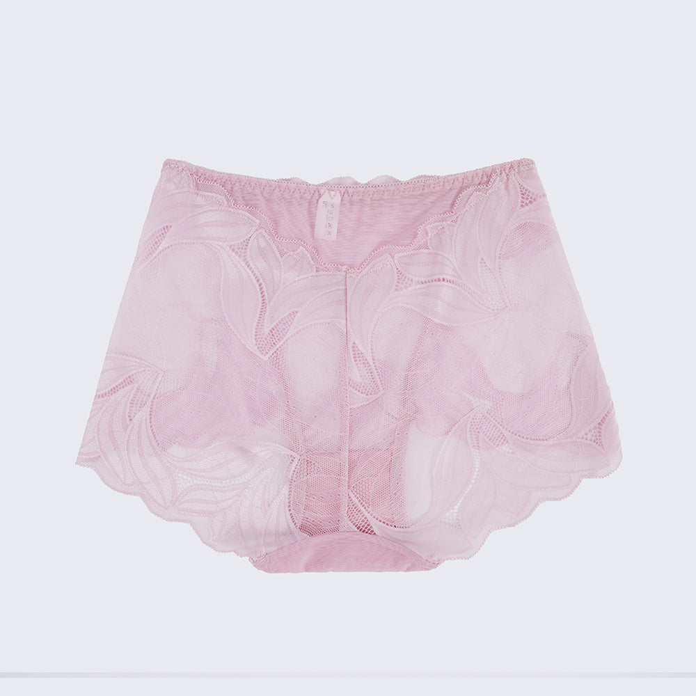 Plus Size Women's Lace See-through Panty