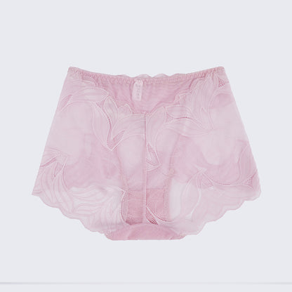 Plus Size Women's Lace See-through Panty