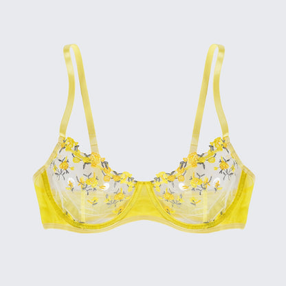 Sexy Butterfly Lace Bra Set Full Bust Minimizer