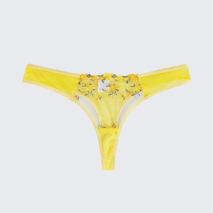 Sexy Butterfly Lace Bra Set Full Bust Minimizer