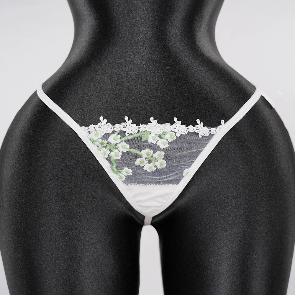 Sexy White Lace Embroidered Lingerie Sheer Bra Panties Set