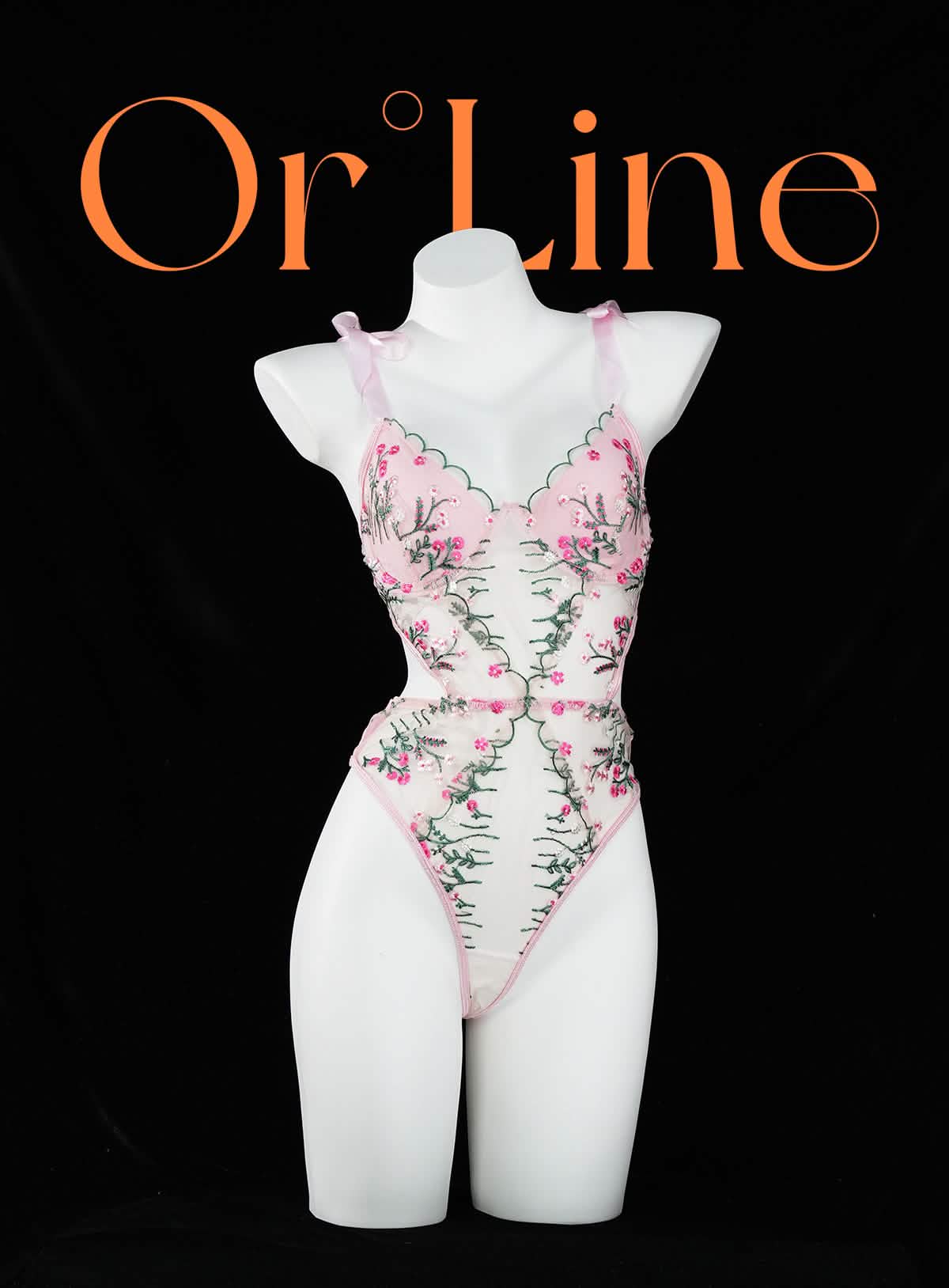 Lace Floral Embroidery Bodysuit