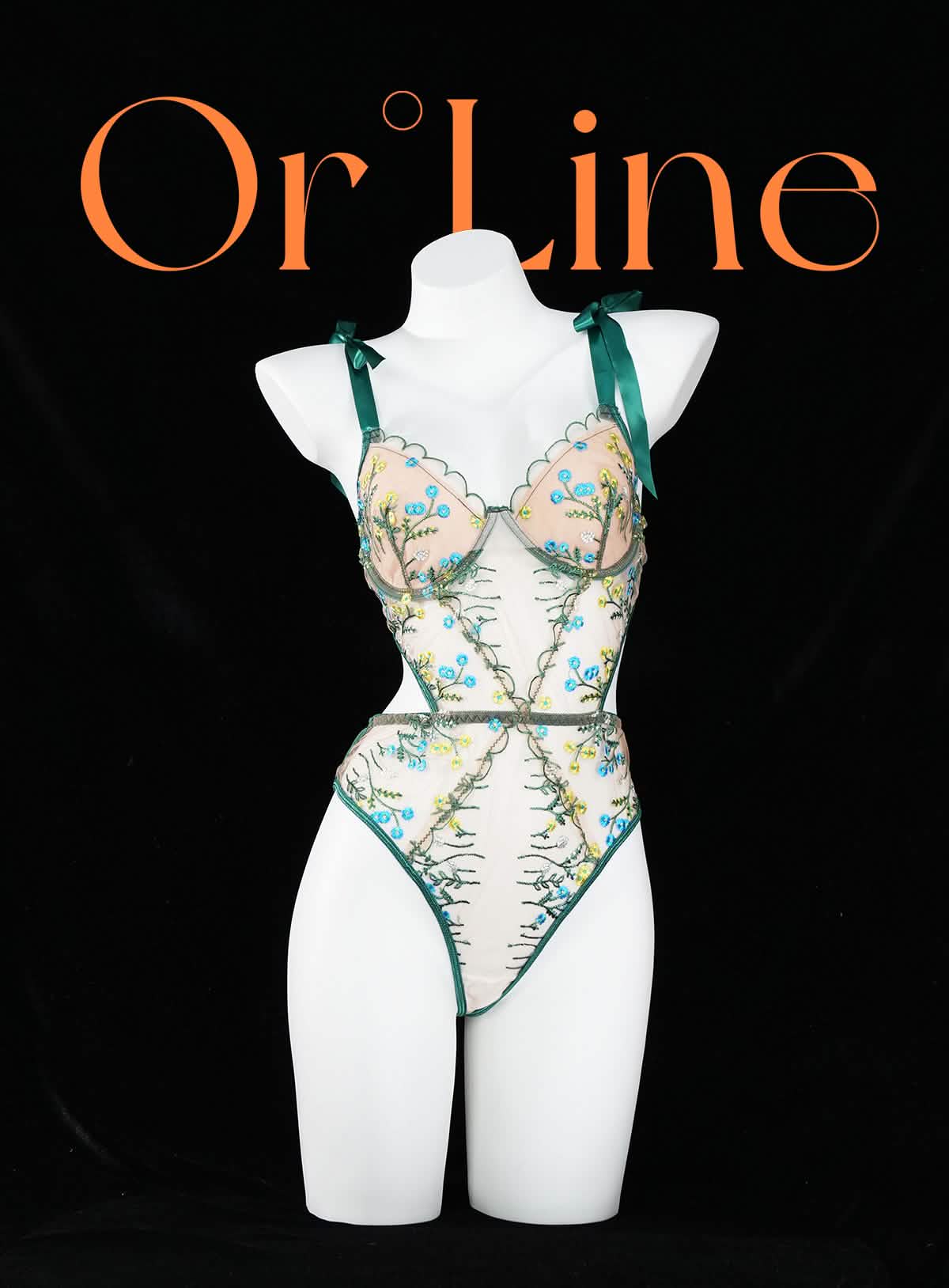 Lace Floral Embroidery Bodysuit