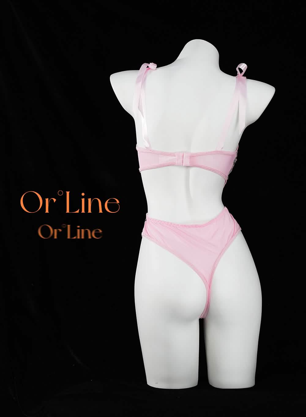 Lace Floral Embroidery Bodysuit