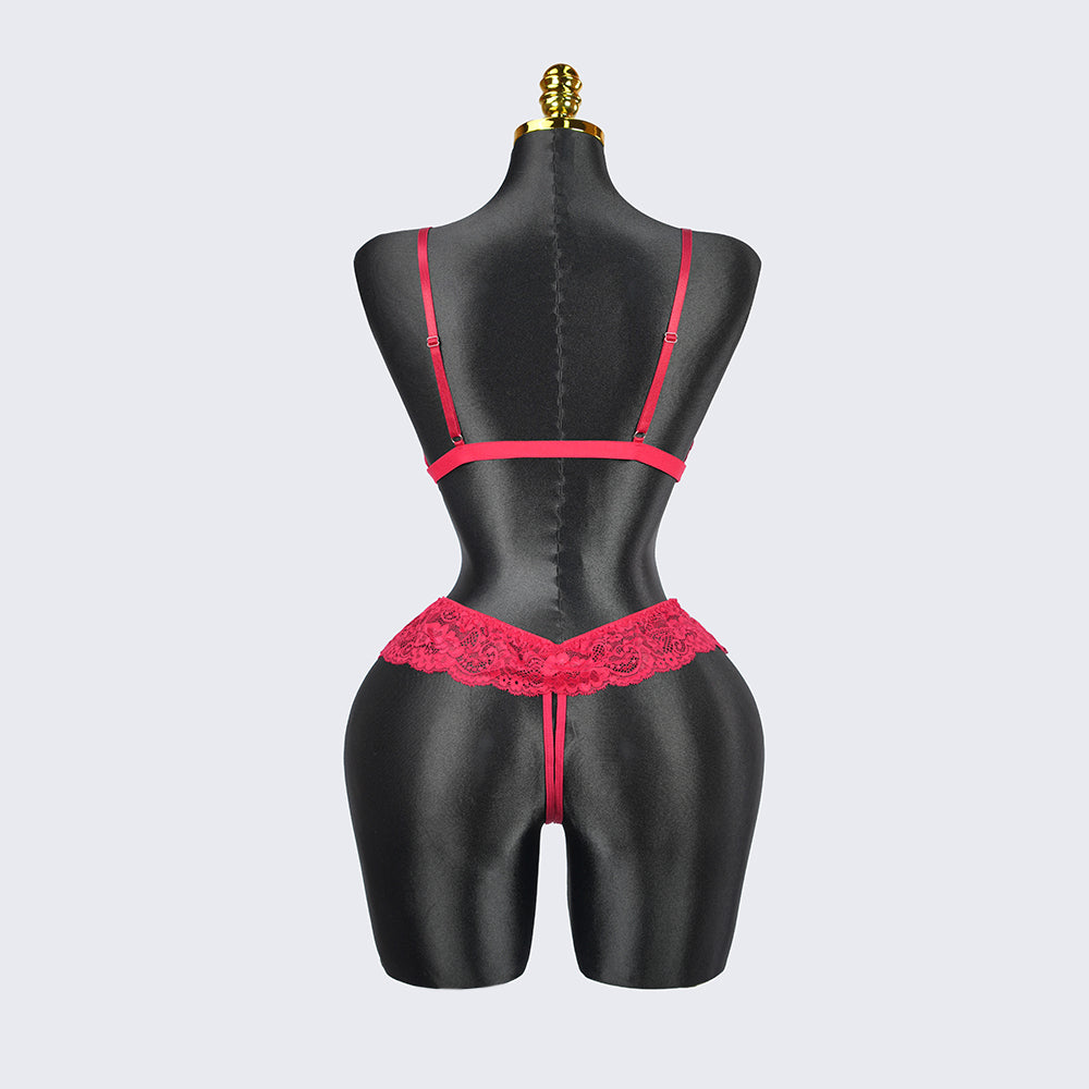 Plus Size Red Lace Bra Panty Set