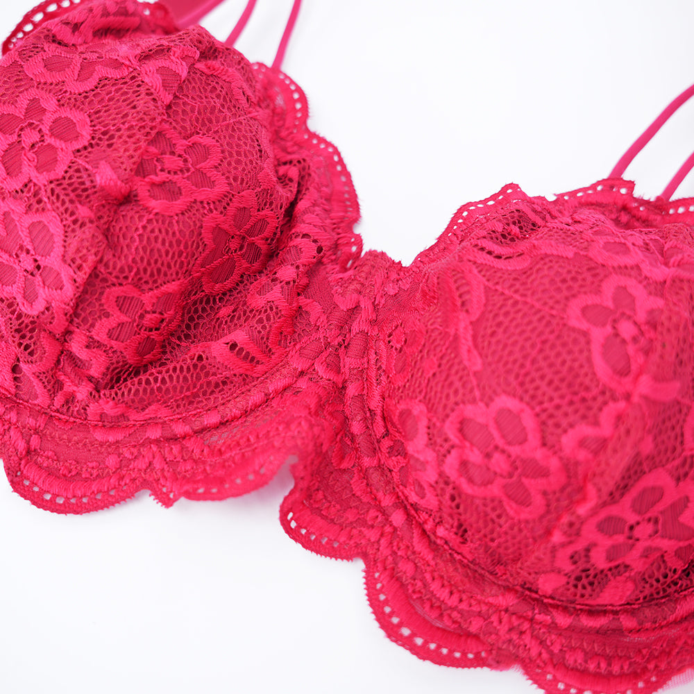 Plus Size Lace Embroidered Floral Bra