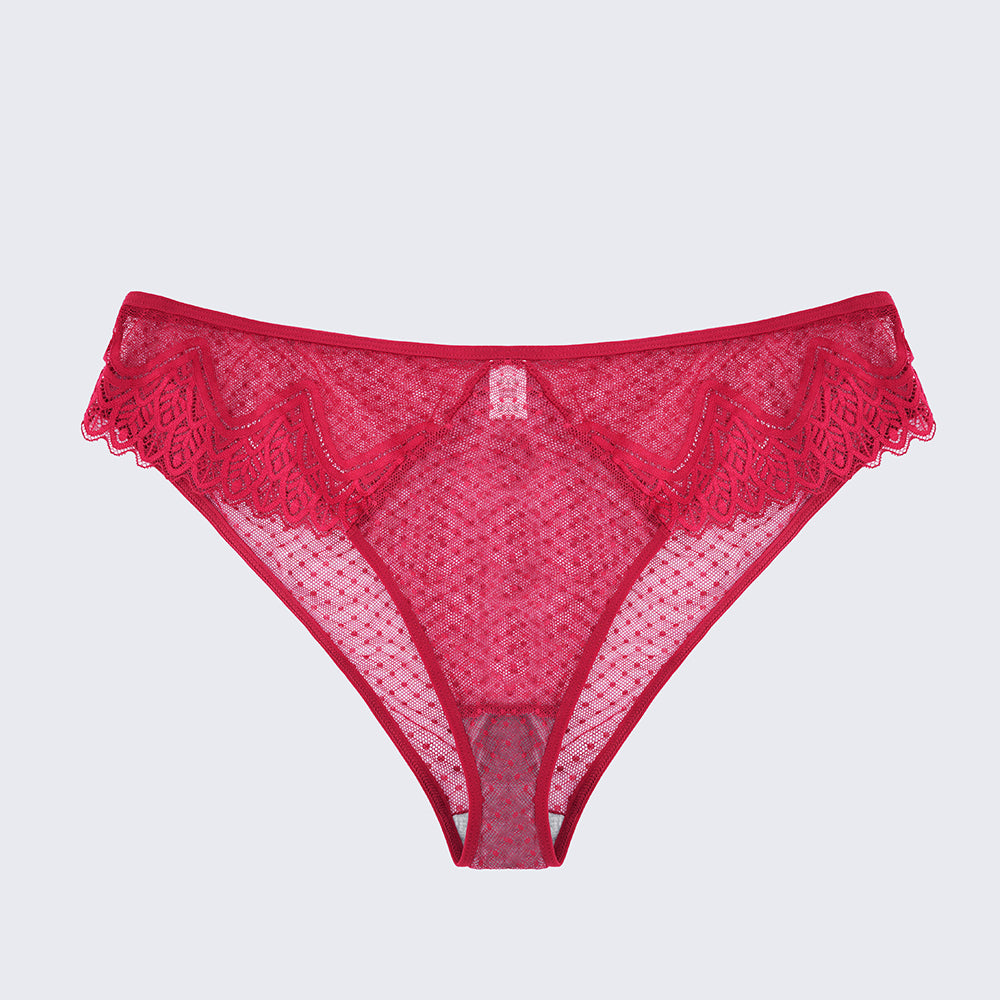 Plus Size Sexy Sheer Lace Mesh Bra Panty Set