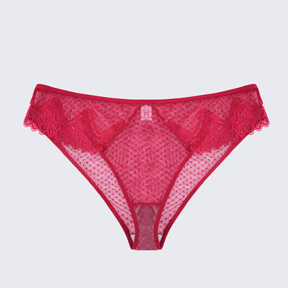 Plus Size Sexy Sheer Lace Mesh Bra Panty Set