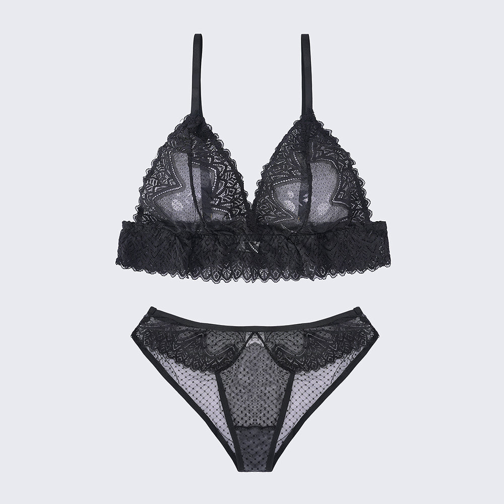 Plus Size Sexy Sheer Lace Mesh Bra Panty Set