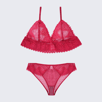 Plus Size Sexy Sheer Lace Mesh Bra Panty Set