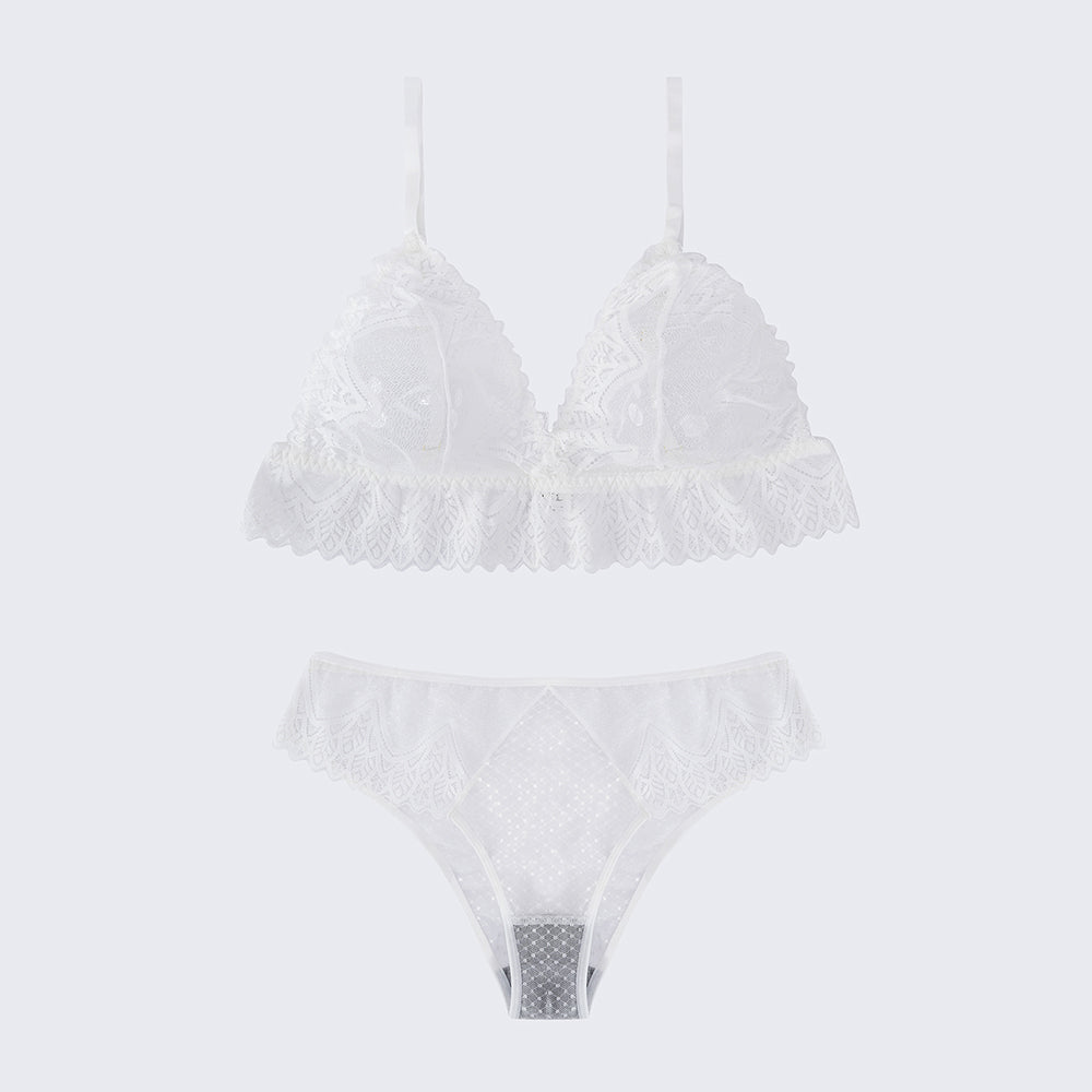 Plus Size Sexy Sheer Lace Mesh Bra Panty Set