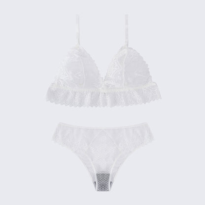 Plus Size Sexy Sheer Lace Mesh Bra Panty Set