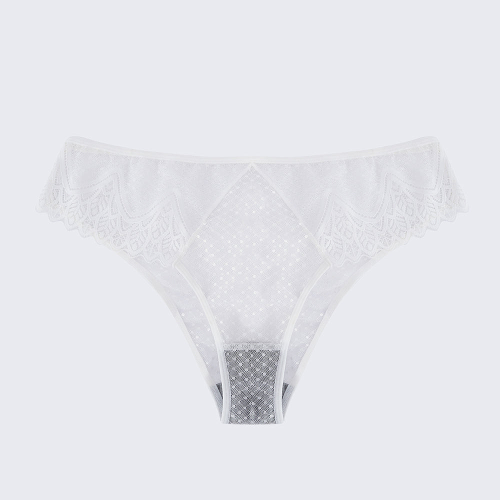 Plus Size Sexy Sheer Lace Mesh Bra Panty Set