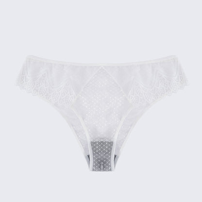 Plus Size Sexy Sheer Lace Mesh Bra Panty Set