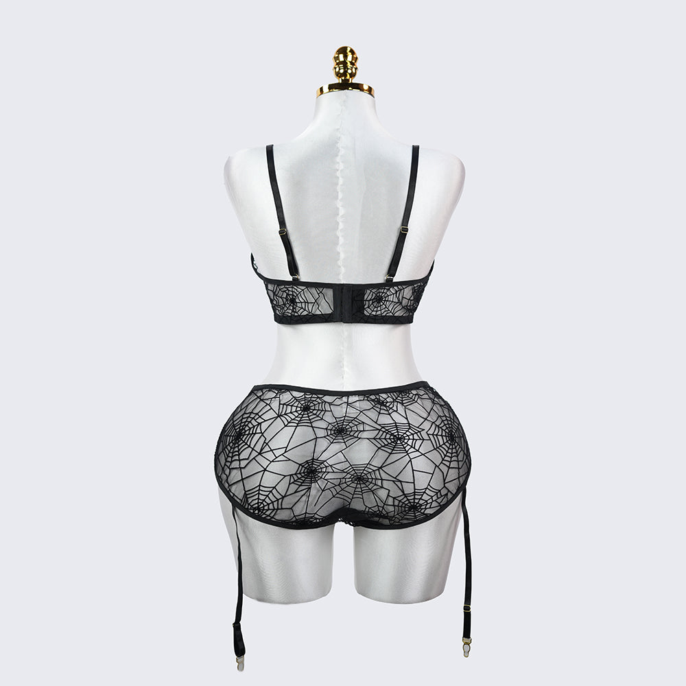Plus Size Spider Web Sheer Push Up Full Bust Bra Panty Set