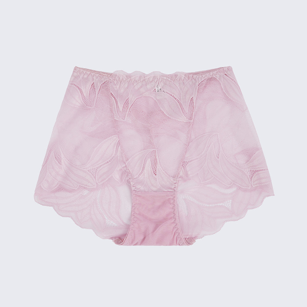 Plus Size Women's Lace See-through Panty