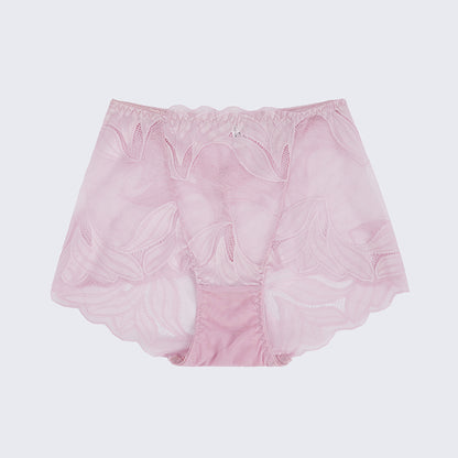 Plus Size Women's Lace See-through Panty