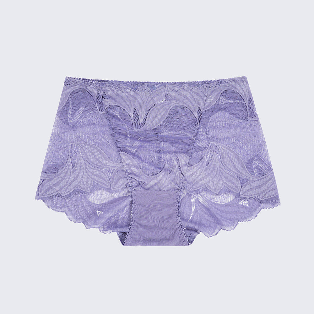 Plus Size Women's Lace See-through Panty