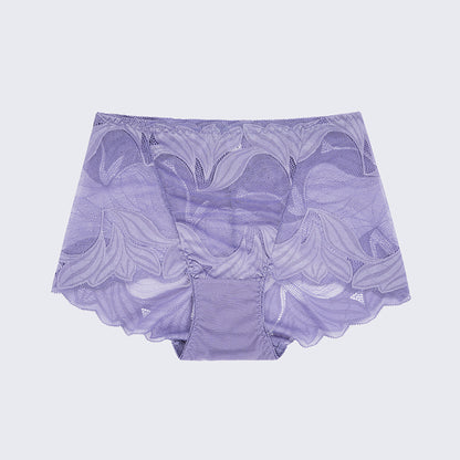 Plus Size Women's Lace See-through Panty