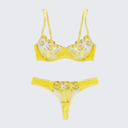 Sexy Butterfly Lace Bra Set Full Bust Minimizer