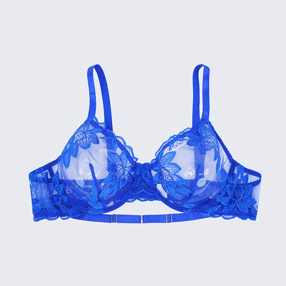Sexy Sheer Lace Embroidered See Through Bra Panty Set