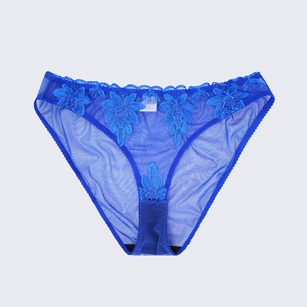 Sexy Sheer Lace Embroidered See Through Bra Panty Set