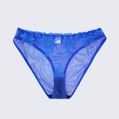 Sexy Sheer Lace Embroidered See Through Bra Panty Set