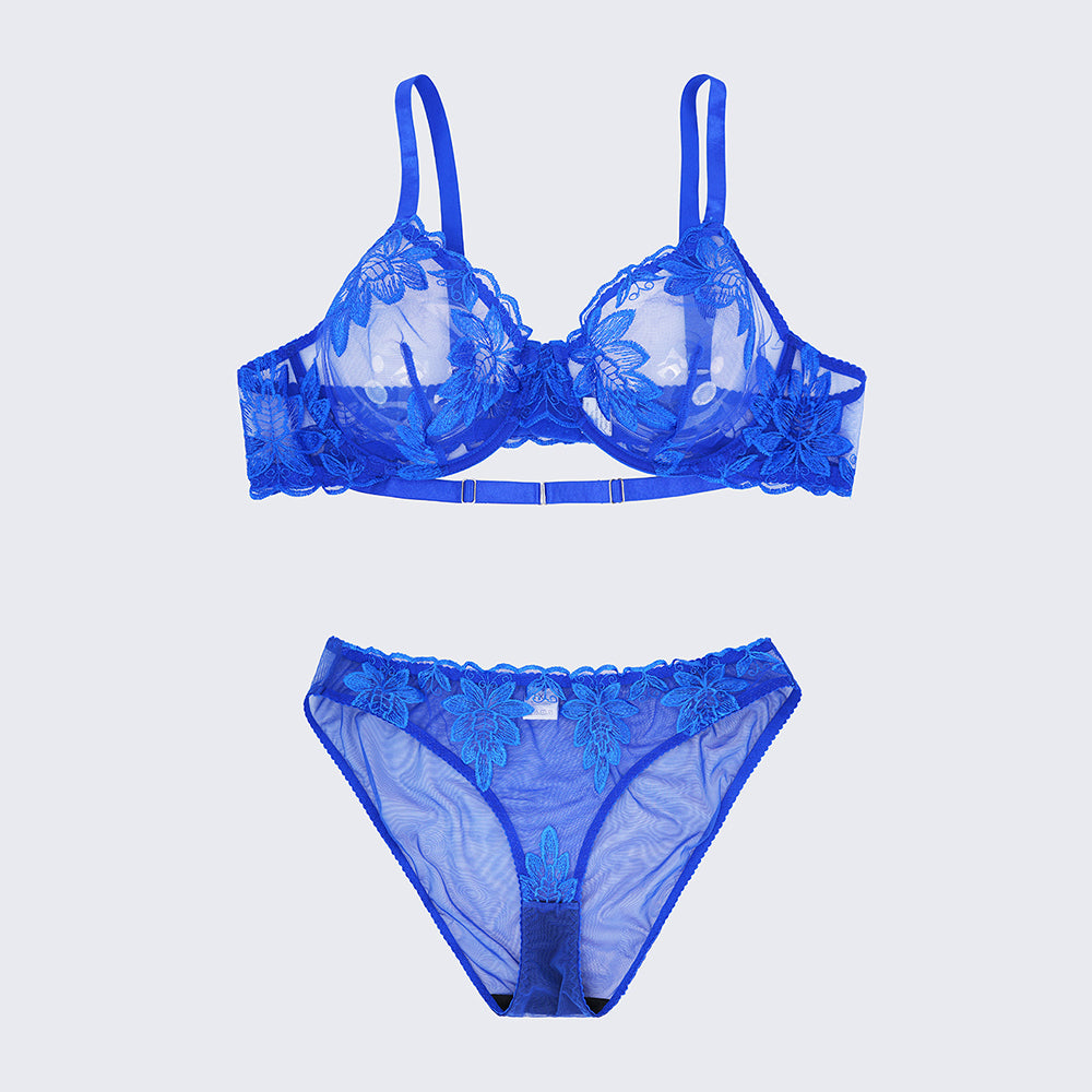 Sexy Sheer Lace Embroidered See Through Bra Panty Set